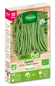 Haricot Nain Vert Cupidon - 20 M - BIO